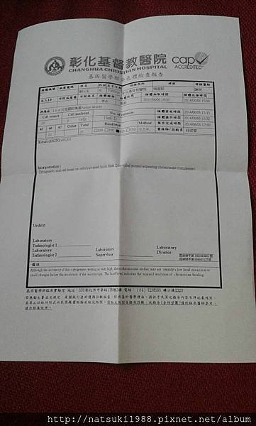 羊穿報告