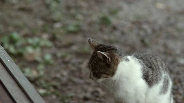 Little.Forest.Natsu.Aki.2014.BluRay.720p.mkv_20150906_160331.936.jpg