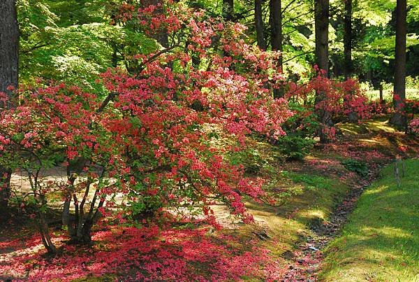 DSC_9677.JPG