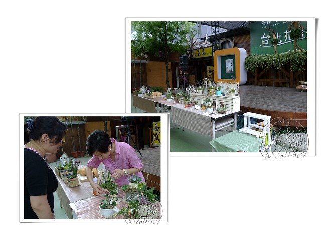 20110611台北花卉村_04.jpg