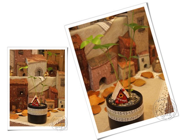 20101018伴手禮_04.jpg