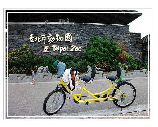 ZOO.jpg