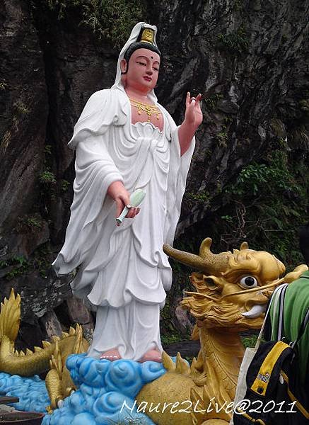 20110430443-1.jpg