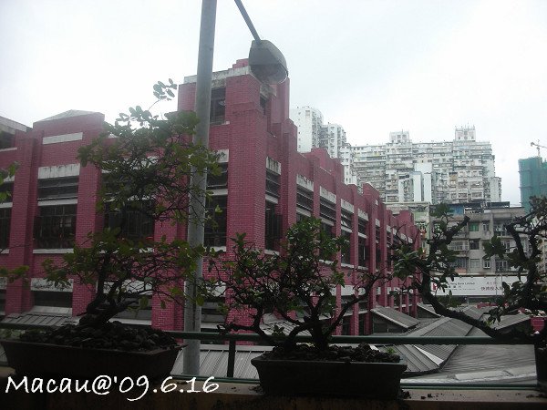 DSCN9191-1.jpg