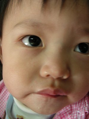 DSCN9582.jpg