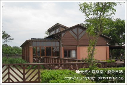 八德埤塘12.jpg