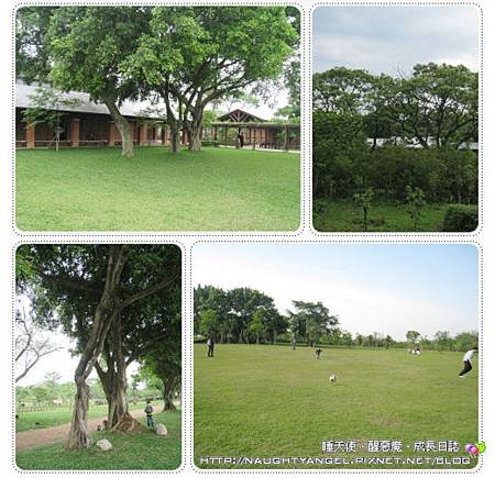 八德埤塘02.jpg