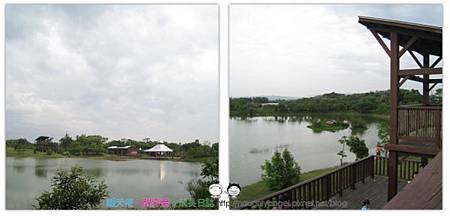 八德埤塘10.jpg