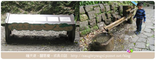 內洞12.jpg