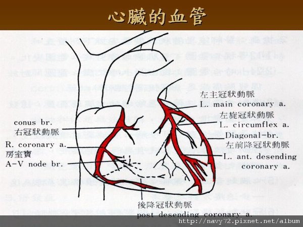 投影片20.JPG