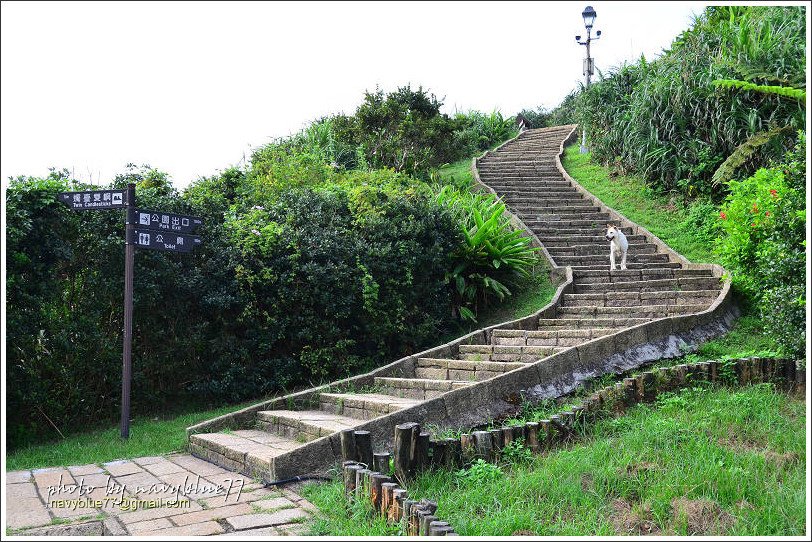 金山獅頭山16.jpg