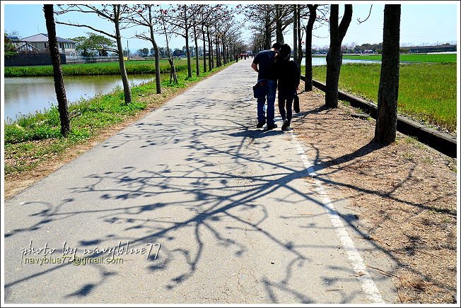 林初埤木棉道201603.JPG