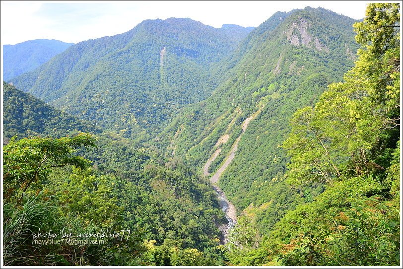 司馬庫斯巨木群步道18.JPG