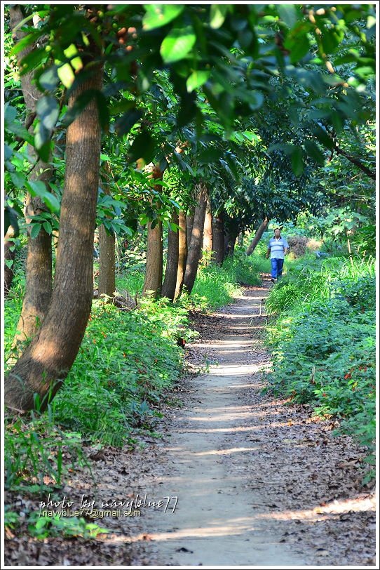 仁德虎山森林步道09.JPG