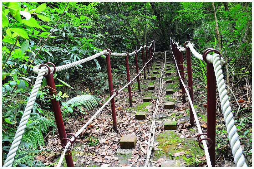 香路古道05.jpg