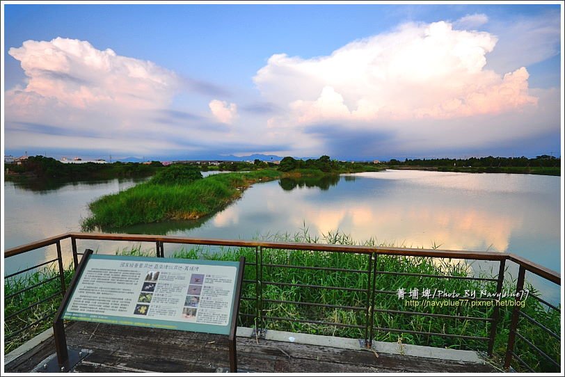 菁埔埤 (10).JPG