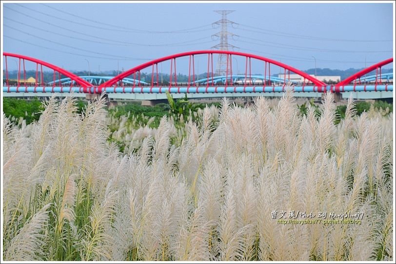 曾文溪渡槽橋04.JPG