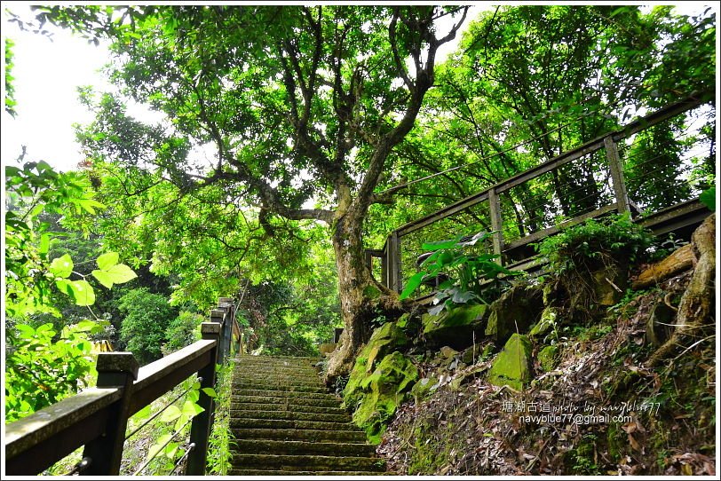 塘湖古道-甕缸潭步道 (20).JPG