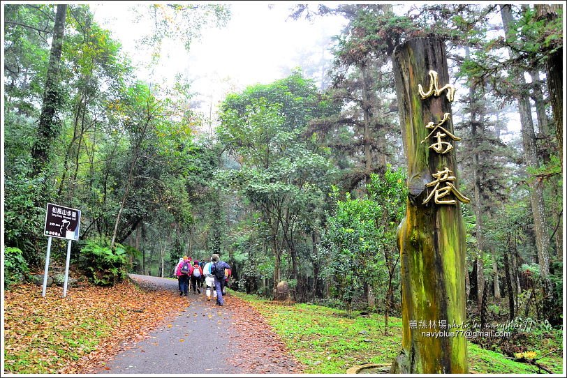 惠蓀林場環場森林步道O形01.JPG