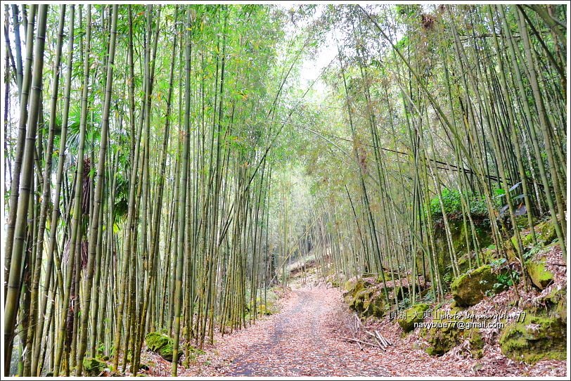 嘉義頂湖-大凍山09.JPG