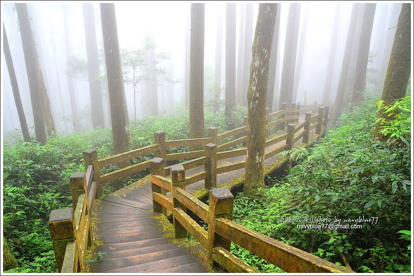 嘉義頂湖-大凍山29.JPG