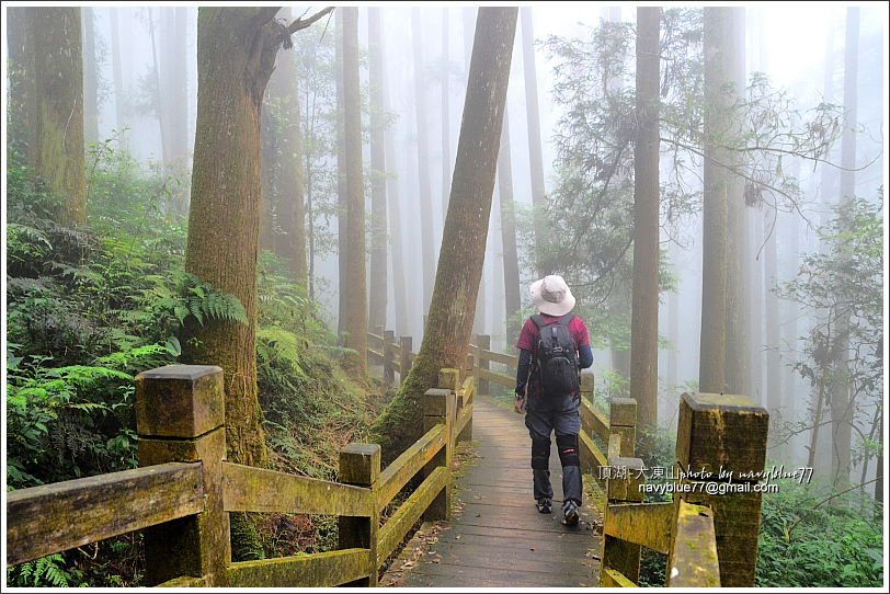 嘉義頂湖-大凍山30.JPG