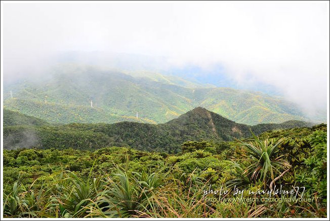 里龍山