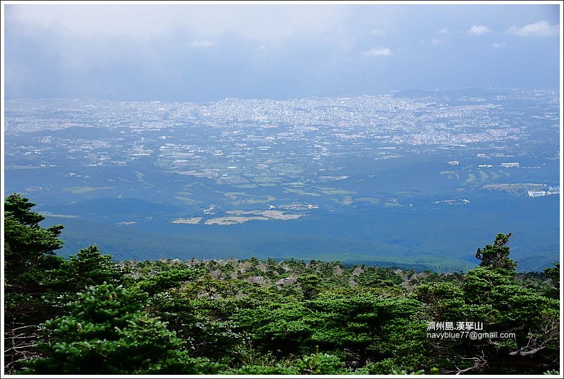 漢拏山觀音寺線05.JPG