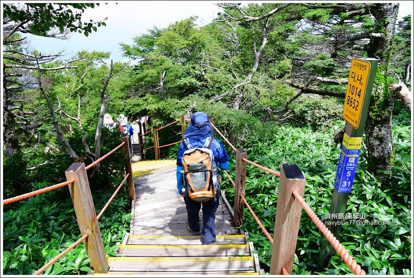 漢拏山觀音寺線10.JPG