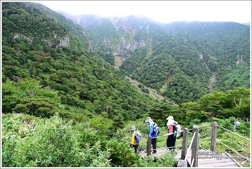 漢拏山觀音寺線14.JPG