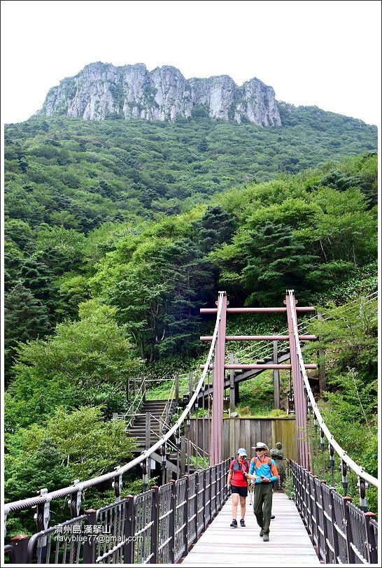 漢拏山觀音寺線21.JPG