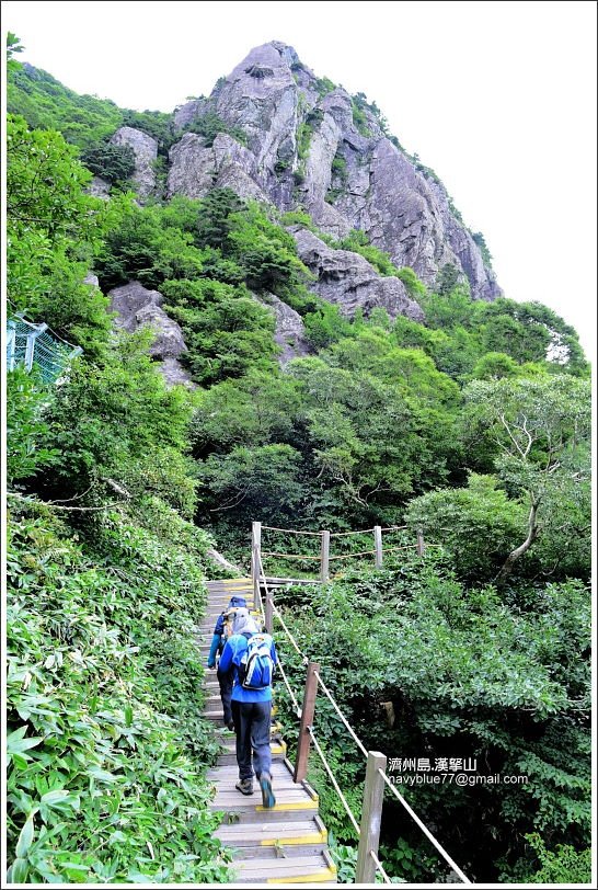 漢拏山觀音寺線22.JPG