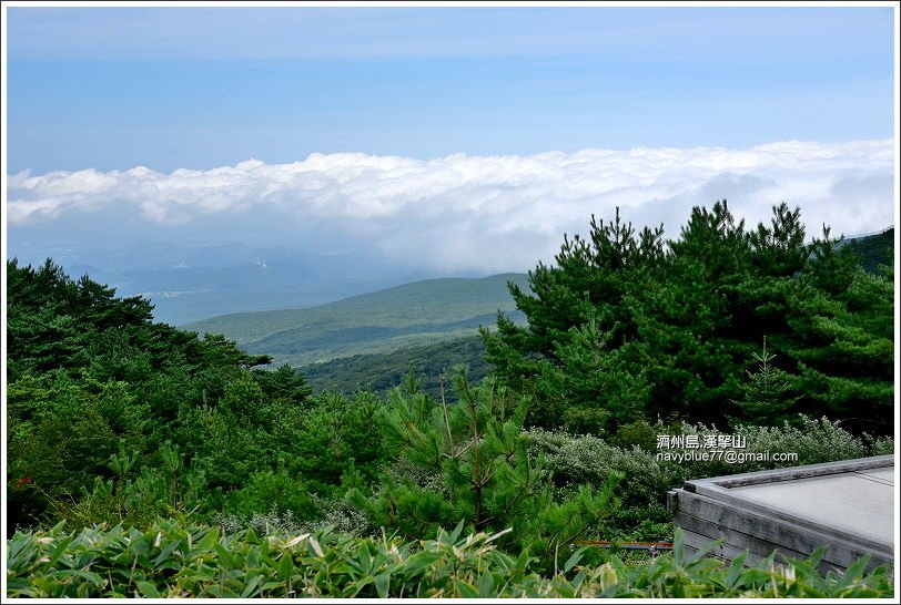 漢拏山觀音寺線25.JPG