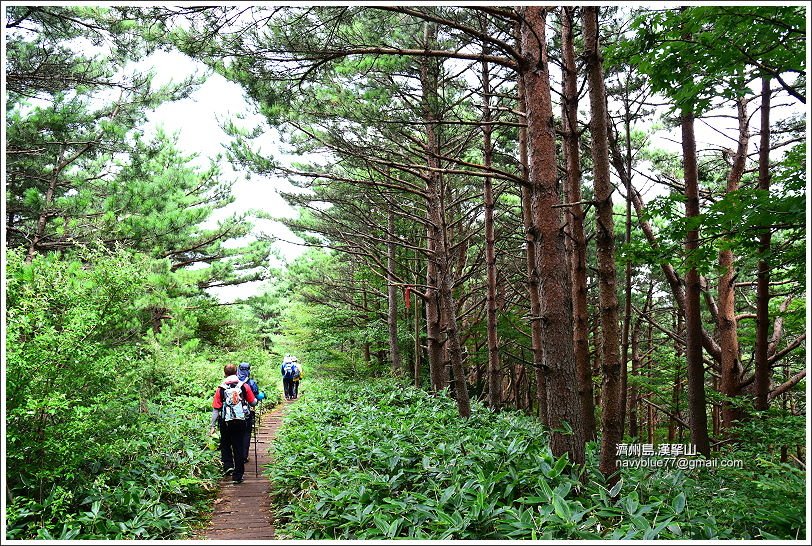 漢拏山觀音寺線27.JPG