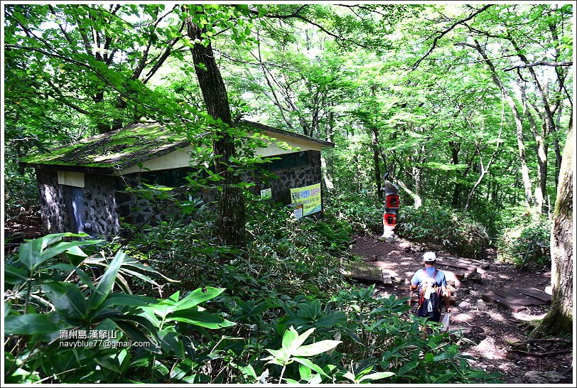 漢拏山觀音寺線28.JPG