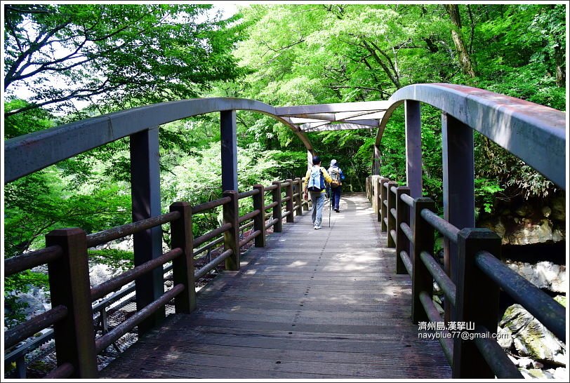 漢拏山觀音寺線30.JPG