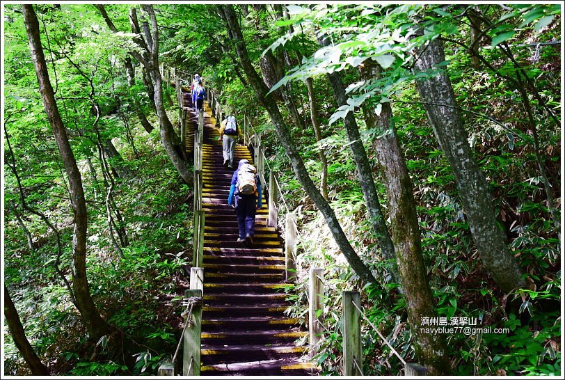 漢拏山觀音寺線31.JPG