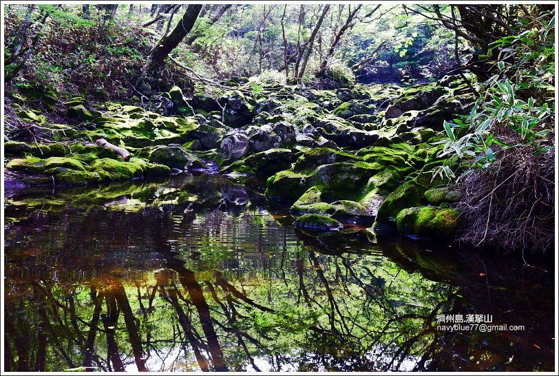 漢拏山觀音寺線36.JPG