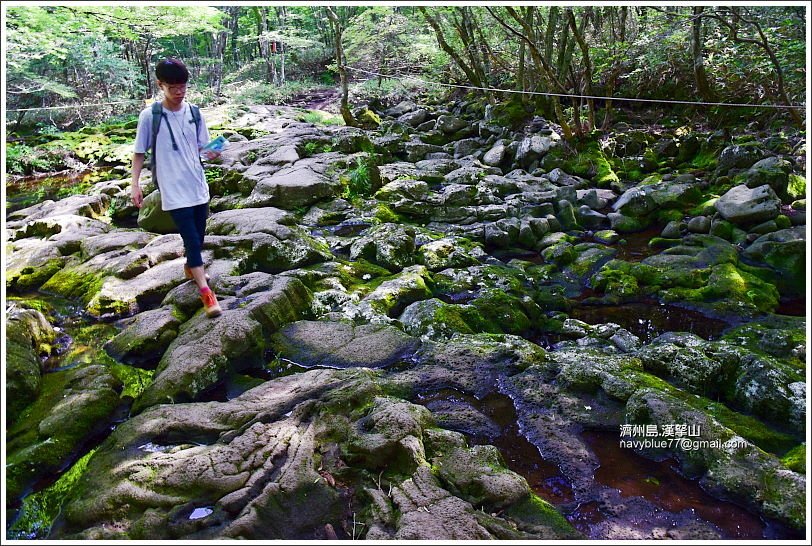 漢拏山觀音寺線37.JPG