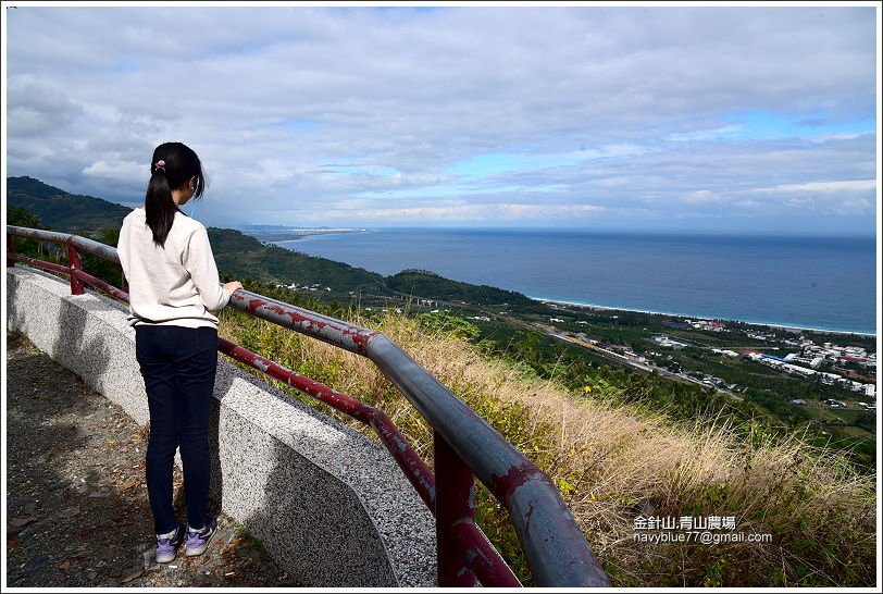 金針山青山農場 (21).JPG