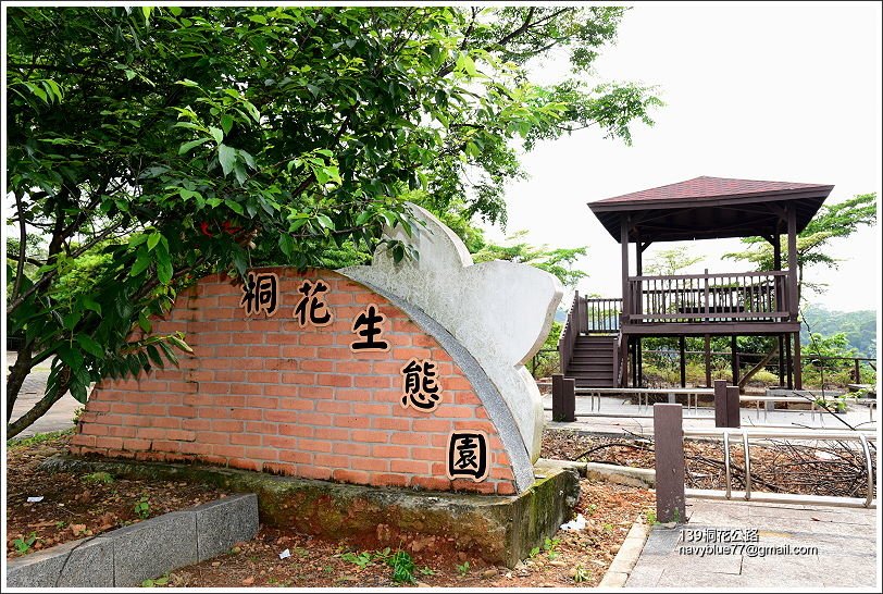 139桐花公路 (20).JPG