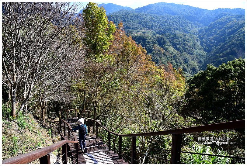 里佳步道遊 (6).JPG