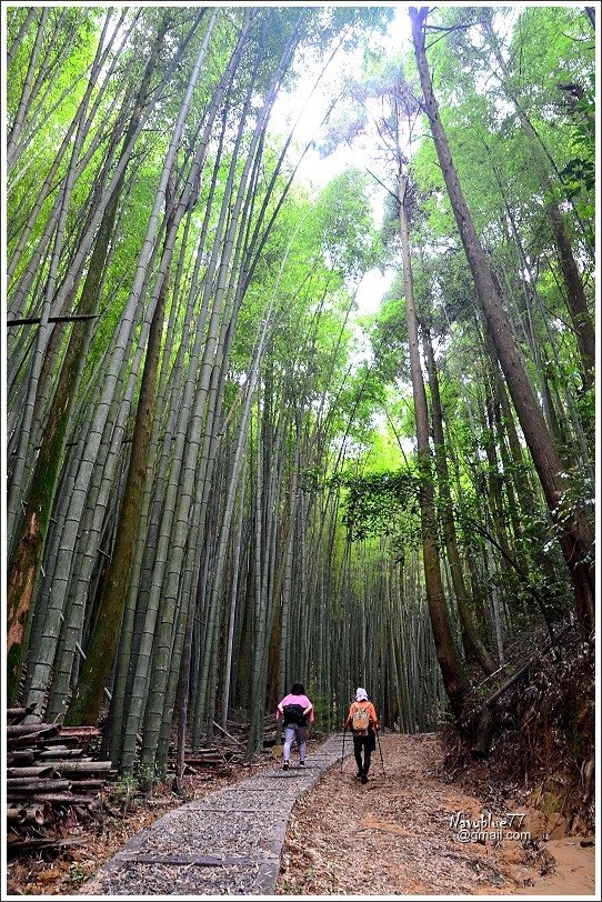 石壁木馬古道-五元二角-雲嶺之丘