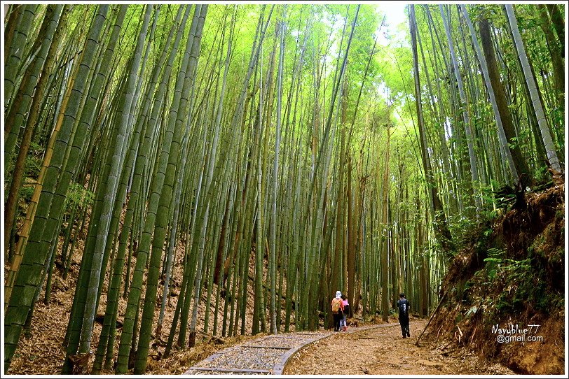 石壁木馬古道-五元二角-雲嶺之丘