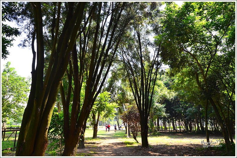 山上花園水道博物館 (27).JPG