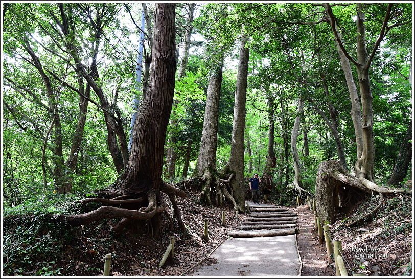 東京高尾山 (31).JPG