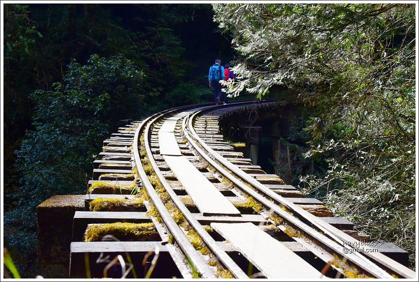 眠月鐵道 (24).JPG