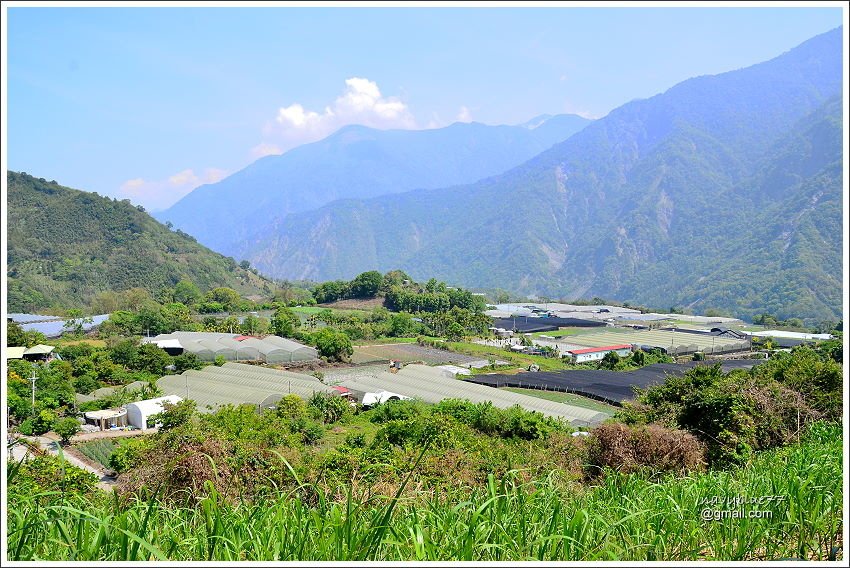 信義鄉獵人古道望美山 (7).JPG