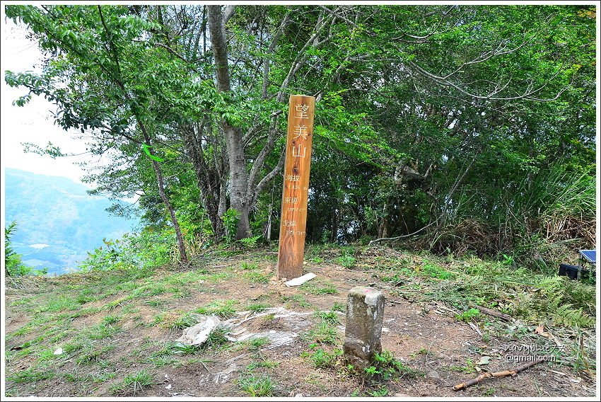 信義鄉獵人古道望美山 (28).JPG