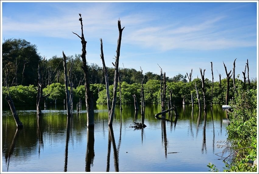 雙春濱海遊憩區 (3).JPG